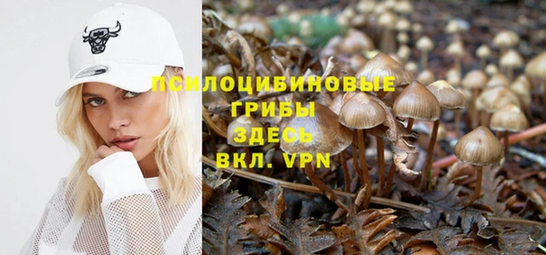 бутират Ладушкин