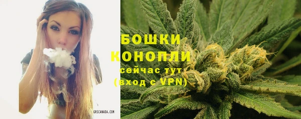 ECSTASY Кукмор