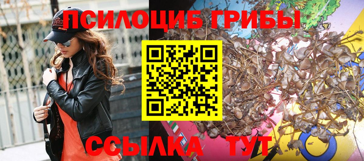 купить  цена  Вход с VPN  Псилоцибиновые грибы мухоморы  Тверь  Псилоцибиновые грибы мицелий 
