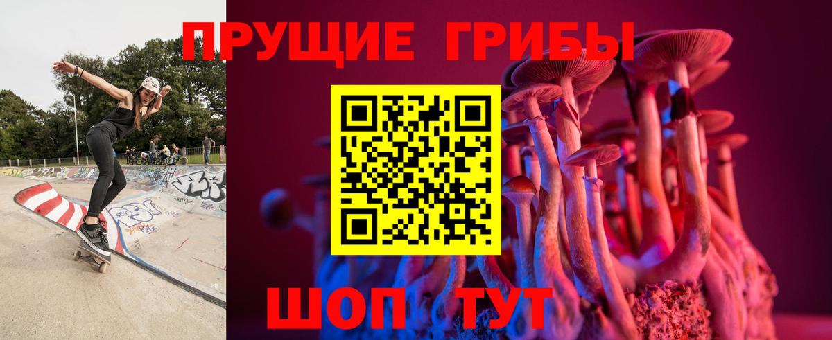 Галлюциногенные грибы Magic Shrooms  Тверь 