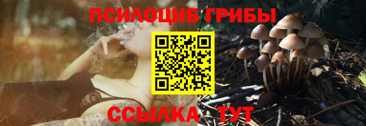 Галлюциногенные грибы прущие грибы Тверь
