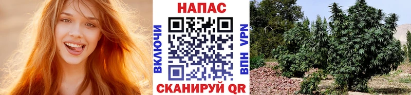 Бошки Шишки AK-47 Тверь